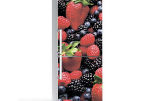 Наклейка на холодильник Zatarga Лесная ягода 650х2000 мм Красный (Z180053)