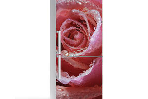 Наклейка на холодильник Zatarga Нежная роза 650х2000 мм Розовый (z180202)
