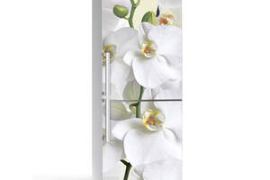 Наклейка на холодильник Zatarga Орхидея 650х2000 мм Белый (Z180077)