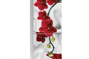 Наклейка на холодильник Zatarga Орхидея алая жемчужина 650х2000 мм (z180205)