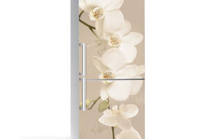 Наклейка на холодильник Zatarga Орхидея беж 01 650х2000 мм Бежевый (z180207)