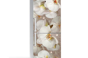 Наклейка на холодильник Zatarga Орхидея и капли росы 01 650х2000 мм Бежевый (z180206)