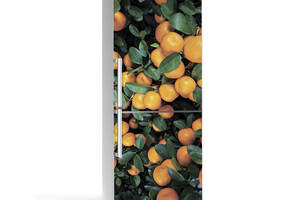 Наклейка на холодильник Zatarga Цитрус 01 650х2000 мм Зеленый (Z180068)