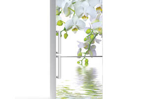 Наклейка на холодильника Zatarga Орхидея над водой 650х2000 мм Белый (z180203)