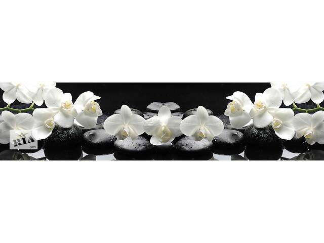 Наклейки кухонный фартук Zatarga ' Белые Орхидеи на черном фоне' 600х2500 мм Белый (Z180255)