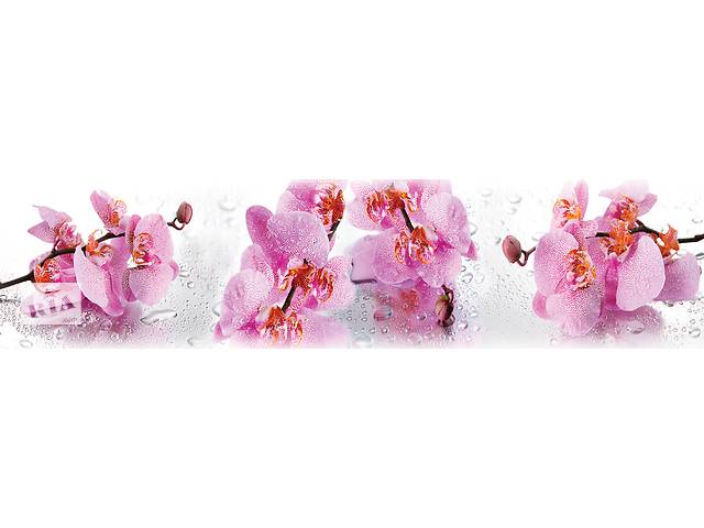 Наклейки кухонный фартук Zatarga ' Розовые Орхидеи и роса ' 600х2500 мм Розовый (Z180263)