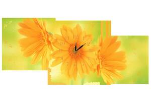 Настенные часы Декор Карпаты s27T Летние цветы Зеленый/Желтый (jAbN12716)