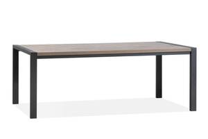 Обеденный стол в стиле LOFT (NS-1250)