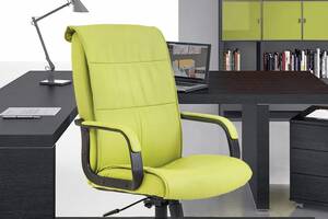 Офисное Кресло Руководителя Richman Рио Флай 2234 Пластик Рич М2 AnyFix Зеленое