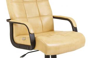 Офисное Кресло Руководителя Richman Вирджиния Титан Yellow (Без Принта) Пластик Рич М1 Tilt Бежевое