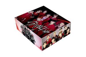 Подарочный набор Stray Kids Large (22752) Bioworld