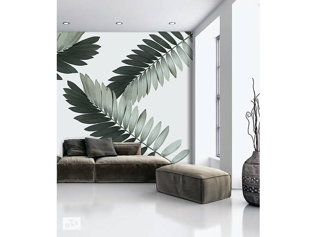 Рельефные фотообои дизайнерские для стен листья пальмы Замия Palm Zamia Furfuracea Mexican 465 см х 280 см