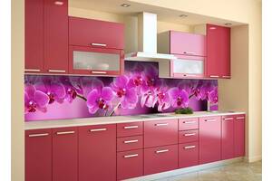 Наклейка на скіналі Zatarga на кухню «Гілка рожевих Орхідей» 650х2500 мм вінілова 3Д наклейка фартух кухонний Z180579/1
