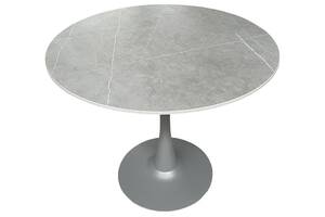 Стіл обідній нерозкладний кераміка сірий DAOSUN DT 449