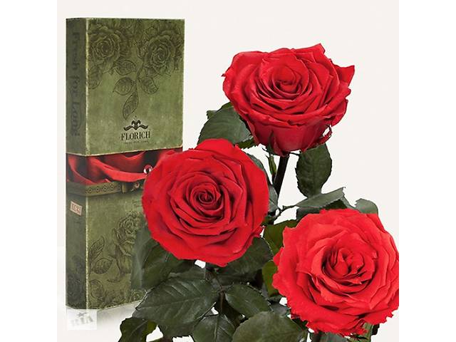 Три долгосвежих троянди Червоний Рубін 7 карат (середній стебло)
