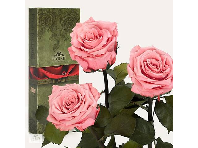 Три долгосвежих розы Розовый Кварц 7 карат (короткий стебель)