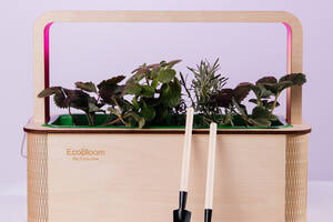 Умный горшок для выращивания растений Smart Garden Ecobloom Сад-огород 23х43х32 см Экокубик