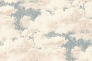 Виниловые обои на флизелиновой основе Rasch Clouds 974720 Бежевый-Синий