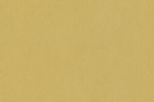 Виниловые обои на флизелиновой основе Spotlight 2 P+S international Желтый (02538-10)