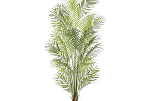 Искусственное растение Engard Areca Palm, 150 см (DW-30)