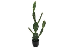 Искусственное растение Engard Cactus 75 cм (TW-41)