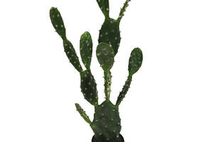 Искусственное растение Engard Cactus 95 cм (TW-42)