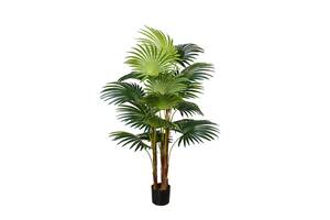 Искусственное растение Engard Cycas Palm, 150 см (DW-23)