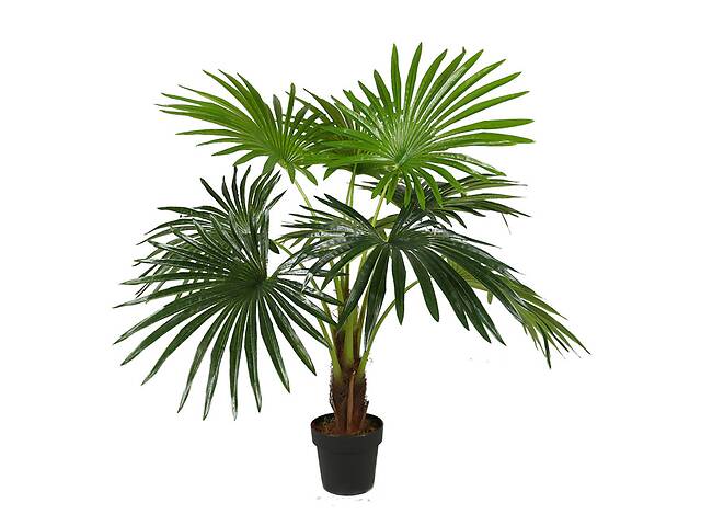 Искусственное растение Engard Fan Palm, 120 см (DW-27)