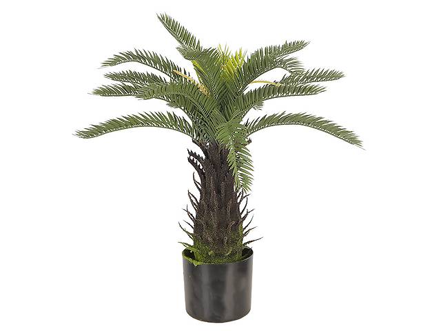 Искусственное растение Engard Fan Palm, 60 см (DW-25)