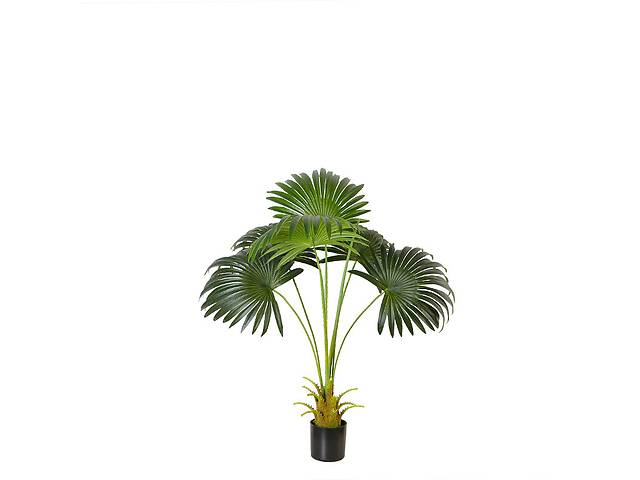 Искусственное растение Engard Fan Palm, 95 см (DW-26)