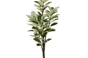 Искусственное растение Engard Фикус 160 см (DW-05)