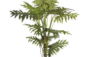 Искусственное растение Engard Lacy Tree, 150 см (DW-29)