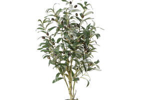 Искусственное растение Engard Olive Tree, 80 см (DW-20)