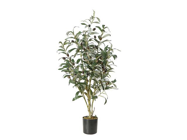 Искусственное растение Engard Olive Tree, 80 см (DW-20)
