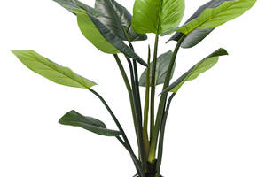 Искусственное растение Engard Philodendron 120 cм (TW-39)