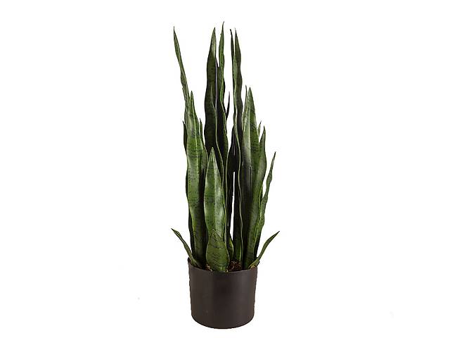 Искусственное растение Engard Sansevieria, 65 см (DW-10)