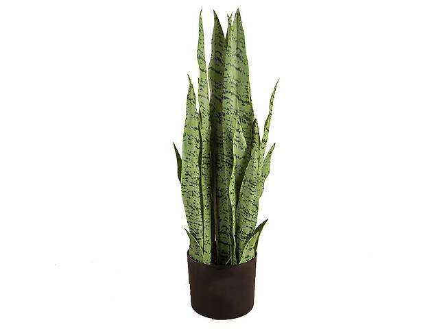 Искусственное растение Engard Sansevieria, 65 см (DW-11)