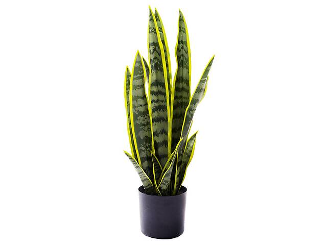 Искуственное растение Engard Sansevieria 57 см (TW-43)