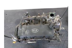 Б/у двигатель для легкового авто Kia Rio