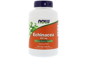 Эхинацея 400мг, Now Foods, Echinacea Purpurea, 250 капсул