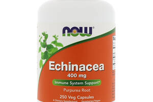 Эхинацея 400мг, Now Foods, Echinacea Purpurea, 250 капсул