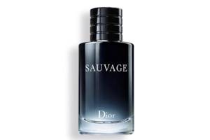 Мужские духи Dior Savage 2015 EDT 100ml