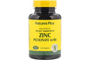 Микроэлемент Цинк Nature's Plus Zinc Picolinate w/B-6 120 Tabs NTP3625