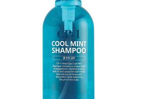 Освежающий шампунь для волос с ментолом Cool Mint Shampoo Head Spa Esthetic House CP-1 500 мл