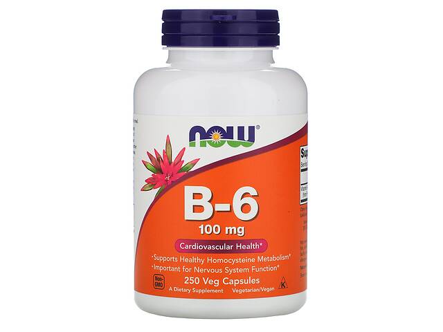 Пиридоксин NOW Foods Vitamin B-6 100 mg 250 Caps