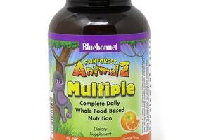 Витаминно-минеральный комплекс Bluebonnet Nutrition Rainforest Animalz Multiple Complete Daily 90 Chewables Orange Fl...