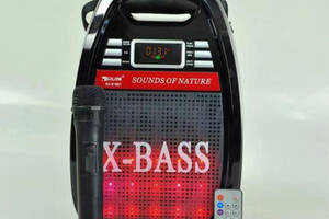 Колонка комбик Golon RX-810 BT Bluetooth mp3 радиомикрофон пульт цветомузыка Черный (258673)