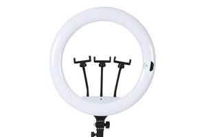 Кольцевая лампа светодиодная Ring Light JL-F348 USB 45 см