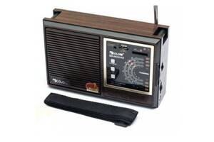 Мультідіапазонній радіоприймач Golon RX-9933 UAR Коричневий (20053100174)