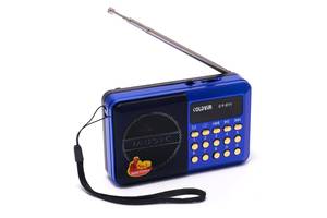 Портативне акумкляторне FM-радіо coldyir cy-011 З роз'ємом для USB та карти пам'яті синє